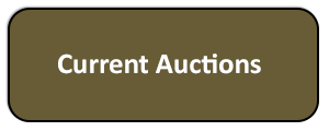 Auction Properties